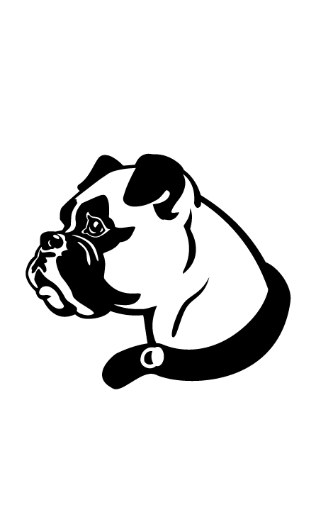 Боксер 2
